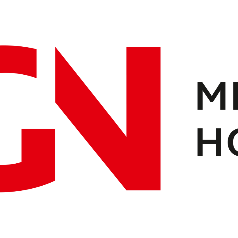 VGN Medien Holding Logo